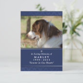 Pet Memorial Card 3.5インチx 5インチ – ネイビーブルー写真 招待状 (スタンド正面)