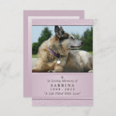 Pet Memorial Card 3.5インチx 5インチ – ピンク色の写真モダン 案内状 (正面/裏面)