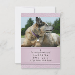 Pet Memorial Card 3.5インチx 5インチ – ピンク色の写真モダン 案内状