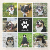 Pet Memorial Custom Dog Photo Collage Paw Print ガラスコースター (正面)