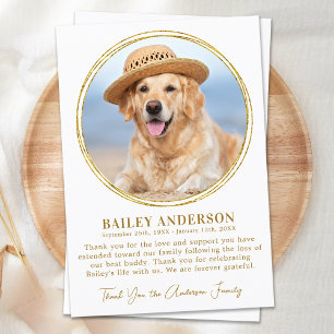 Pet Memorial Elegant Gold Custom Photo Sympathy  サンキューカード