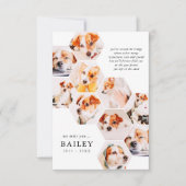 Pet Memorial Modern Simple 10 Photo Collage サンキューカード (正面)