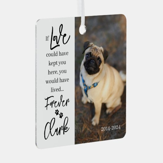 Pet Memorial - Pet パーソナライズされた Loss Photo Met メタルオーナメント (正面右)