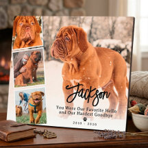 Pet Memorial Photo Collage Dog or Cat Remembrance