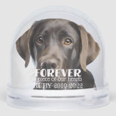 Pet Memorial Sympathy Photo (裏面)