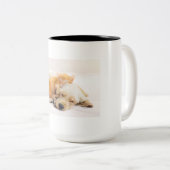 Pet Mug ツートーンマグカップ (正面右)