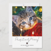 Pet Photo 2 Picture Script Calligraphy Paw Print シーズンカード (正面)