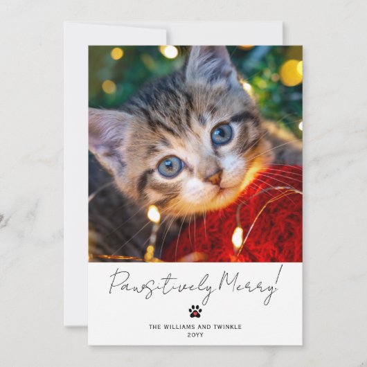 Pet Photo 2 Picture Script Calligraphy Paw Print シーズンカード (正面)