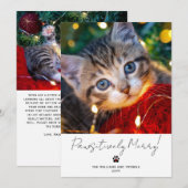 Pet Photo 2 Picture Script Calligraphy Paw Print シーズンカード (正面/裏面)