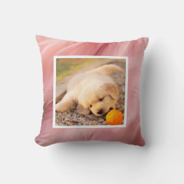 Pet photo - corral Dekokissen クッション