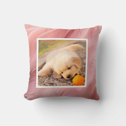 Pet photo - corral Dekokissen クッション (正面)