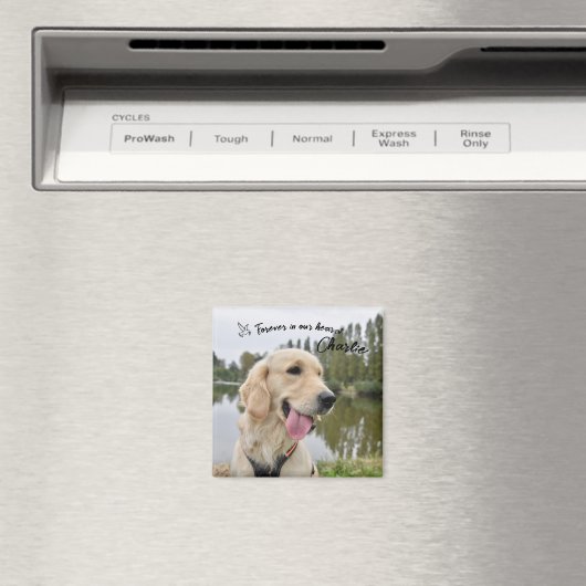 Pet Photo Keepsake Memorial Gift マグネット (インサイチュ (食洗機))