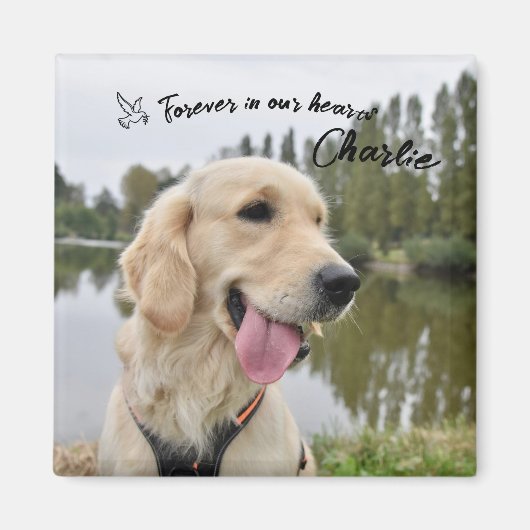 Pet Photo Keepsake Memorial Gift マグネット (正面)