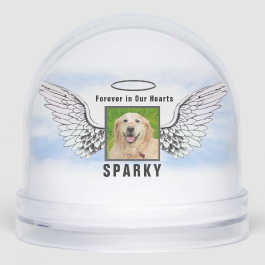 Pet Photo Memorial (正面)