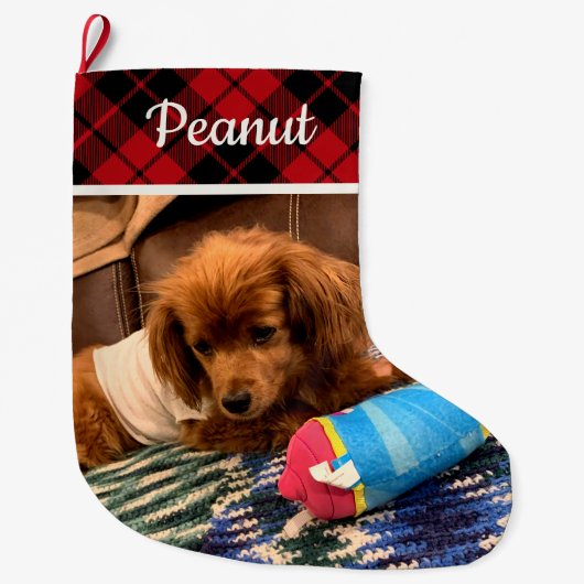 Pet Photo Red Plaid Reversible Personalized ラージクリスマスストッキング (正面)