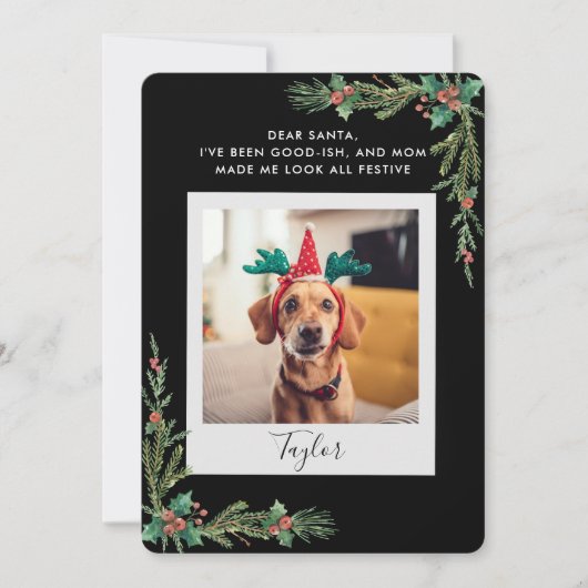 Pet Photo Script Funny Dog Christmas シーズンカード (正面)