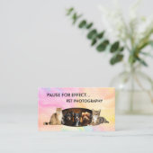 Pet Photography Modern Business Cards 名刺 (スタンド正面)