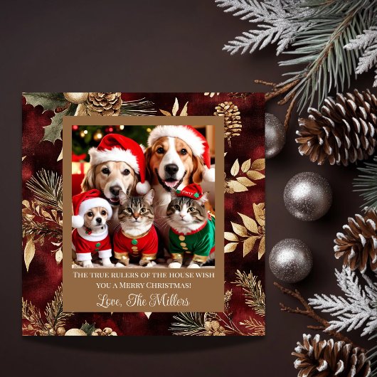 Pet Rulers of the House Burgundy金ゴールドと写真 シーズンカード