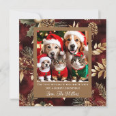 Pet Rulers of the House Burgundy金ゴールドと写真 シーズンカード (正面)