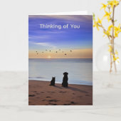 Pet Sympathy Loss of Cat or Dog Silhouetted Beach カード (黄色い花)