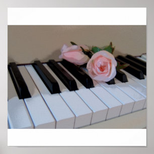 Petal Pink Keys ポスター