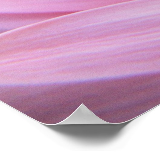 Petal Pink Poster ポスター (角)