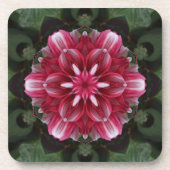 Petal Symphony コースター (正面)