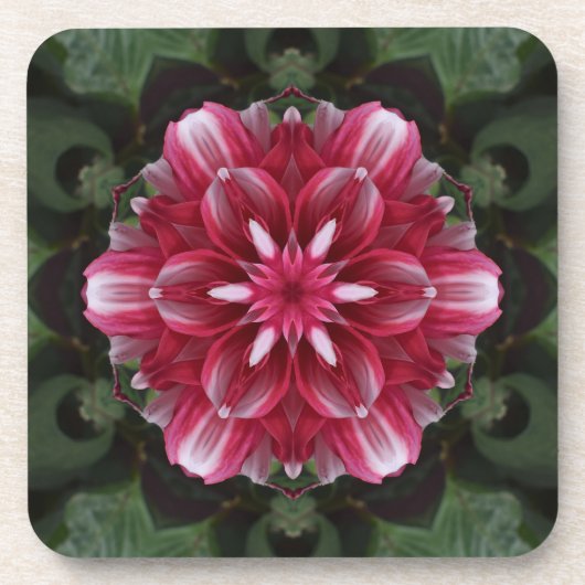 Petal Symphony コースター (正面)