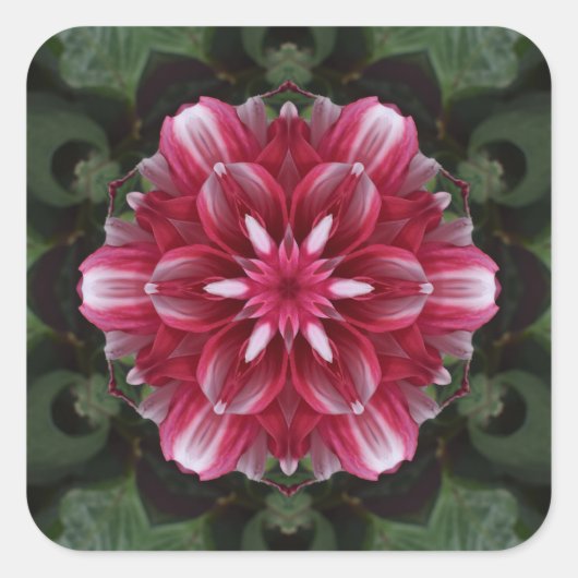 Petal Symphony スクエアシール (正面)