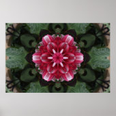 Petal Symphony ポスター (正面)