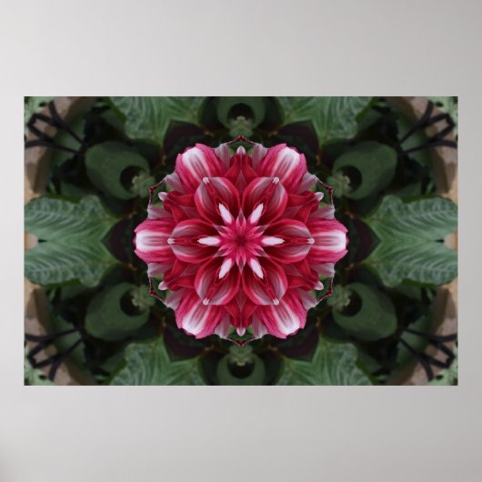 Petal Symphony ポスター (正面)