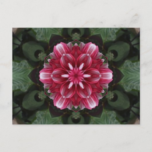 Petal Symphony ポストカード (正面)