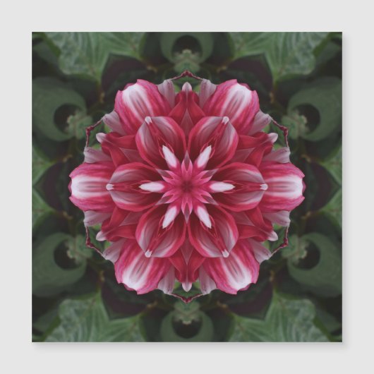 Petal Symphony Magnetic Card (正面)