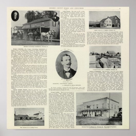 Petalumaビジネス，カリフォルニア州 ポスター (正面)