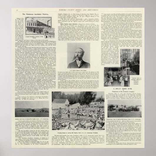 Petaluma Incubator Factory，カリフォルニア州 ポスター (正面)