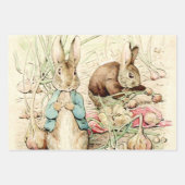 Peter and Benjamin Gather Onions by Beatrix Potter ラッピングペーパーシート (正面3)