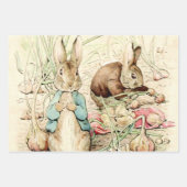 Peter and Benjamin Gather Onions by Beatrix Potter ラッピングペーパーシート (正面2)