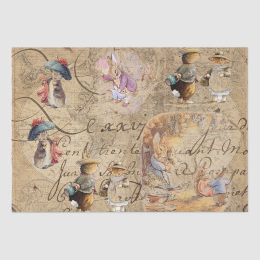 peter rabbit （コレクション4）ティッシュペーパー 薄葉紙 (正面)