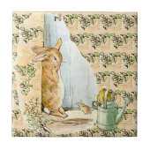 Peter Rabbit Beatrix Potter Doorway Ceramic Tile タイル (正面)