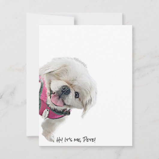 Peter Rottentailを搭載したノートカード サンキューカード (正面)