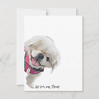 Peter Rottentailを搭載したノートカード サンキューカード