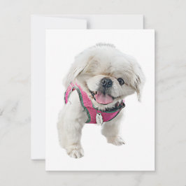 Peter Rottentailノートカード ノートカード