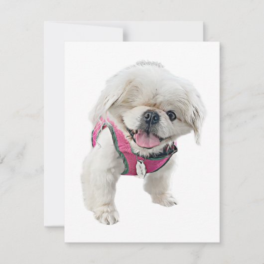 Peter Rottentailノートカード ノートカード (正面)