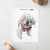 Peter Rottentailノートカード ノートカード (正面/裏面インサイチュ)