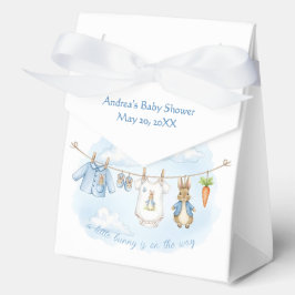 Peter the Rabbit Cute Clothesline Baby Shower   フェイバーボックス