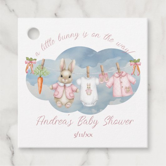 Peter the Rabbit Girl Clothesline Baby Shower フェイバータグ (正面)