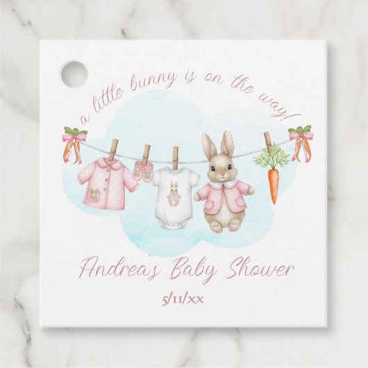 Peter the Rabbit Girl Clothesline Baby Shower フェイバータグ (正面)