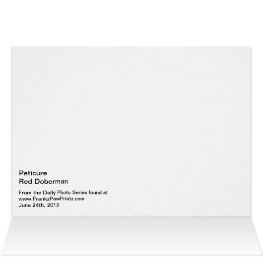 Peticure -ペディキュアのスパ日 (内部横(上))