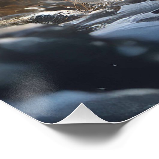 Petit loup chaperon rouge  ポスター (コーナー)