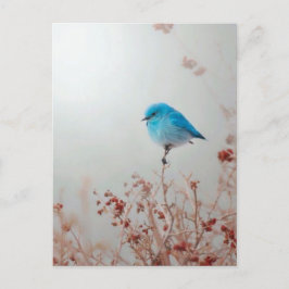Petit oiseau bleu ポストカード